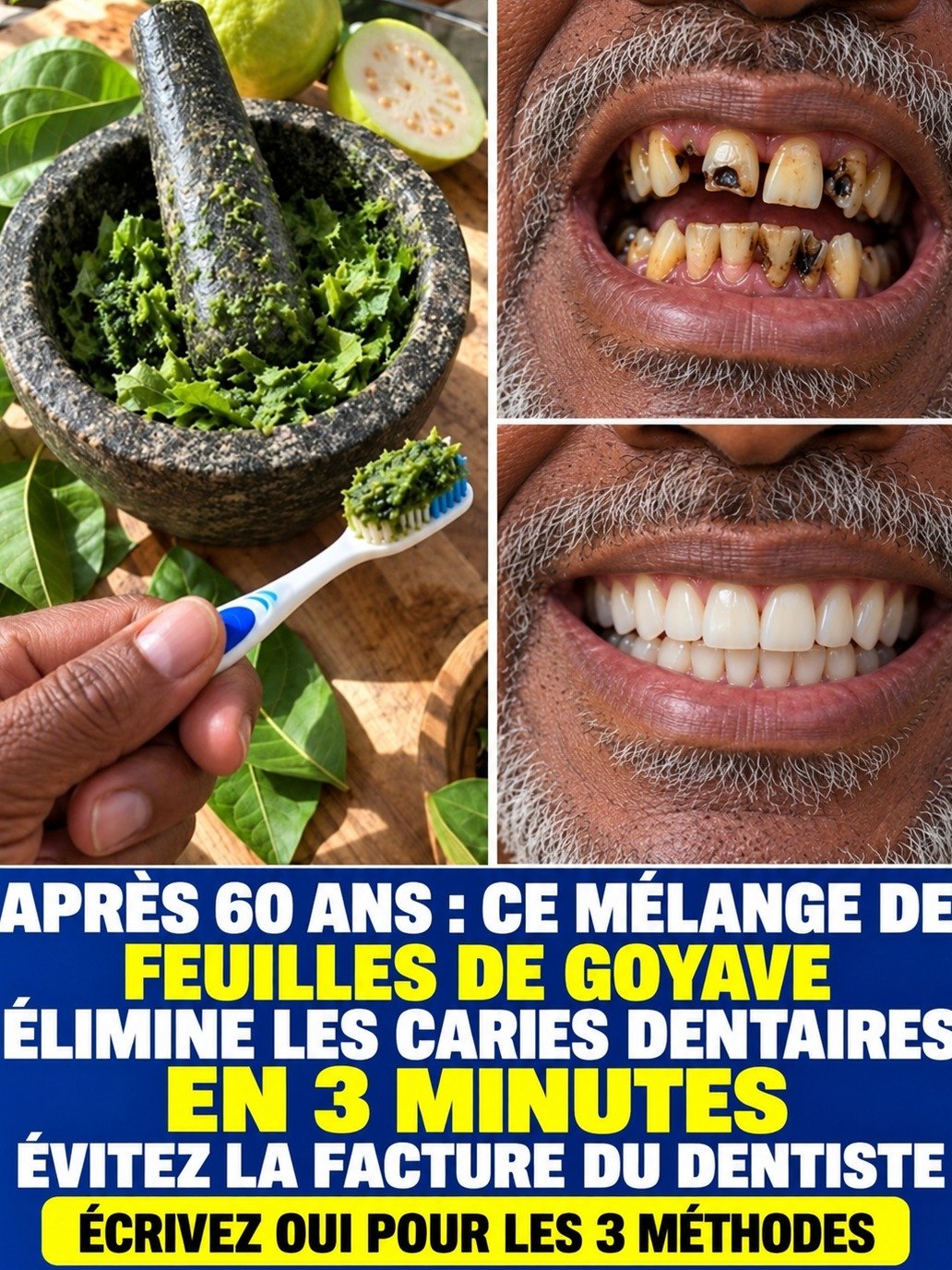 La Révélation Oubliée : Cette Plante Simple Va Transformer Votre Santé Bucco-Dentaire et Soulager Vos Douleurs !